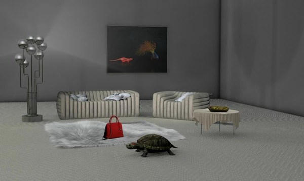 Arrêt sur image d'une vidéo montant une tortue et un sac à main rouge dans un salon au mobilier blanc.